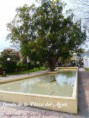 /album/fotogaleria/hermosa-fuente-en-la-plaza-del-agua-jpg1/